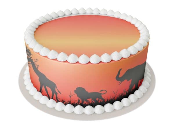 African animal sunset cake