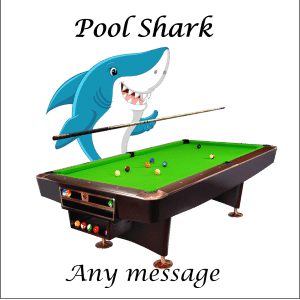 Pool Shark Topper - Image 2