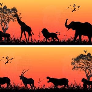 African sunset with silhouette animals