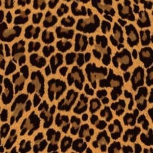 Leopard skin cake topper