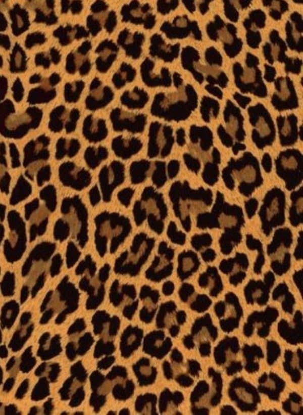 Leopard skin cake topper